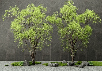 Modern landscape tree arbor courtyard tree modeling tree moss stone landscape sketch 3d model