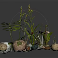Wood Stone Materials with Green Plants Small Yellow Flowers White Daisies and Dark Background Reflections