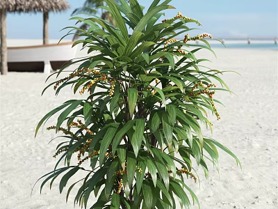 Tropical Tree With Green Leaves And Yellow Flowers On Sandy Beach 3d model