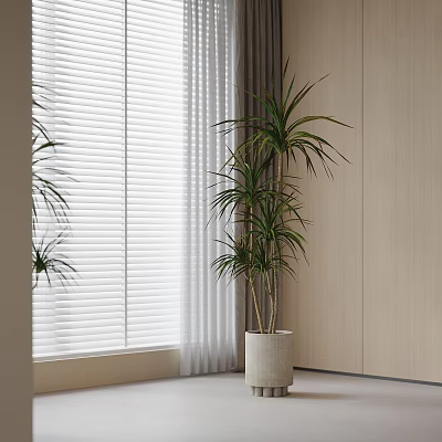 Tall Green Potted Plant Indoor By Window Blinds With Curtain And Wooden Wall 3d model