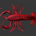 Striking Vibrant Red Lobster Aquatic Creature With Detailed Claws And Body Structure