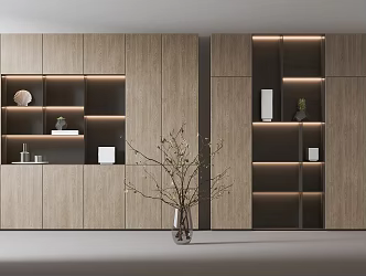 Modern bookcase 3d model