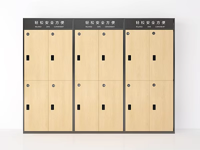 Modern Safe Storage Lockers With Easy Solution Design And Light Wood Finish 3d model