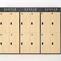 Modern Safe Storage Lockers With Easy Solution Design And Light Wood Finish 3d model