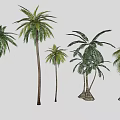 Coconut Tree Palm Tree Landscape Tree Seaside Landscape Green Planting 3d model