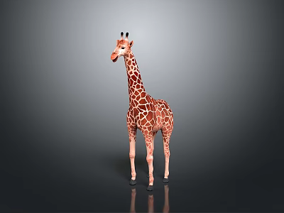 Realistic Giraffe With Long Neck And Spotted Coat Standing On Gray Background 3d model