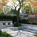 Tranquil Garden Landscape with Yellow Leaf Trees Stone Benches Paved Area and Trimmed Hedges