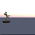 Bonsai Tree With Twisted Trunk Spreading Branches And Green Foliage In Wooden Rectangular Pot 3d model
