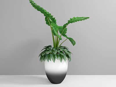 Bonsai Potted Plant With Lush Green Leaves In Gradient Color Pot On White Table 3d model