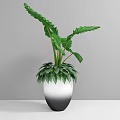 Bonsai Potted Plant With Lush Green Leaves In Gradient Color Pot On White Table