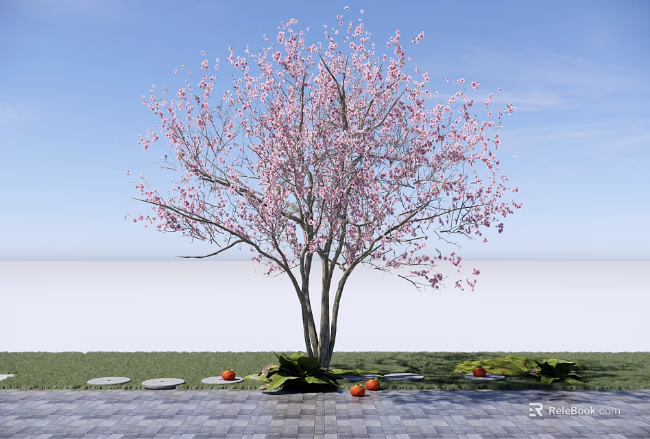 Garden Landscape Featuring Pink Flowering Tree Stone Path Grass And Orange Fruits 3d model 