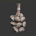 Fresh Garlic Bulbs Tied With Red String And Wooden Stem For Cooking