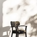 Accent Chair with Leopard Pattern Upholstery Dark Wood Arms in Sunlit Room with Shadow