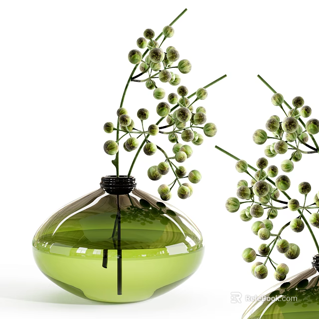 Green Glass Vase With Curved Transparent Body Holding Fresh Green Round Bud Flower Branches 3d model 