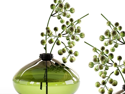 Green Glass Vase With Curved Transparent Body Holding Fresh Green Round Bud Flower Branches 3d model