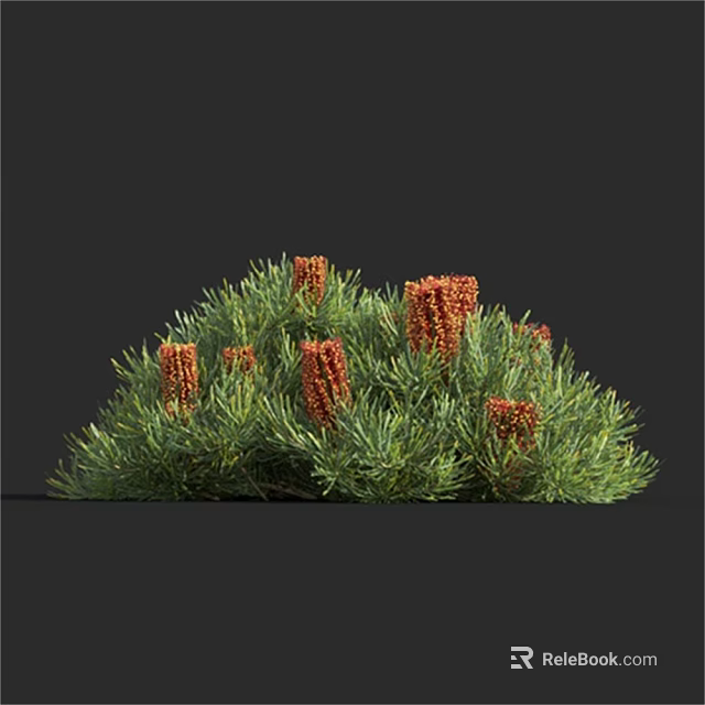 Lush Green Shrub With Vibrant Red Flower Spikes And Dense Foliage 3d model 