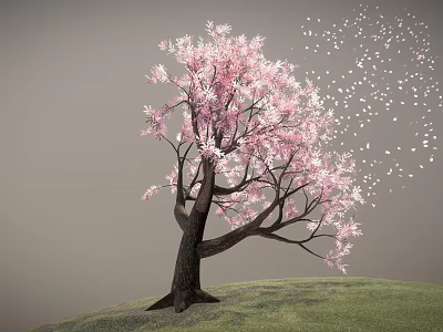 Beautiful Pink Blossom Tree With Dark Trunk On Green Grassy Hill And Falling White Petals 3d model