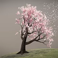 Beautiful Pink Blossom Tree With Dark Trunk On Green Grassy Hill And Falling White Petals