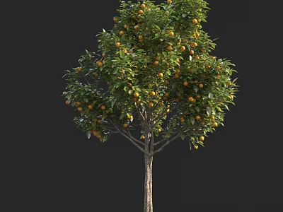 Lush Green Leafy Tree with Abundant Orange Fruits and Brown Trunk 3d model