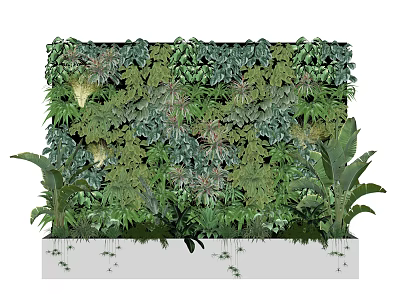 Living Plant Wall With Lush Green Foliage And Various Tropical Plants 3d model