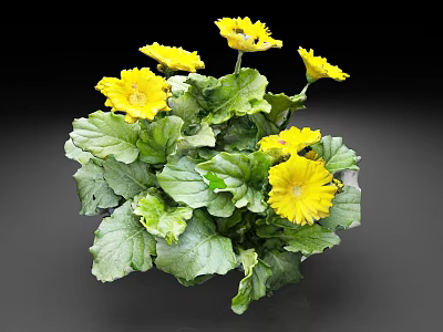 Blooming Yellow Flowers With Lush Green Leaves In Decorative Potted Plant 3d model