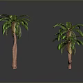 3D Rendered Palm Trees With Pink Trunks And Green Leaves On Gray Background