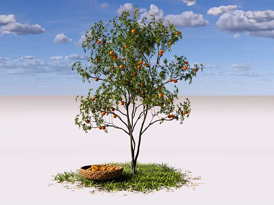 Fruit Tree With Orange Fruits And Basket On Green Grass Under Blue Sky 3d model