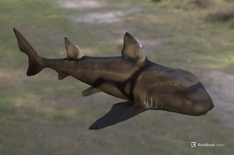 Gray Shark With Dorsal Fin And Streamlined Body Swimming In Ocean 3d model 
