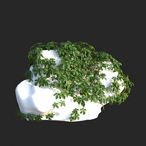 Modern Vine Taiwan Cliff Climbing Vine 3d model