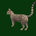 Tabby Cat Standing On Green Background With Striped Fur And Alert Expression 3d model