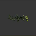Green Chrysanthemum Branches With Yellow Flowers And Green Leaves On Gray Background
