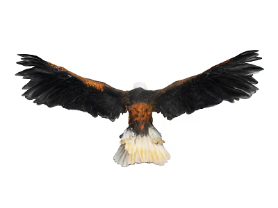 Lifelike Eagle Ornamental Figurine Set With Spread Wings For Home Decor 3d model