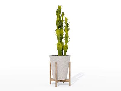 Tall Decorative Bonsai Cactus Plant in White Pot on Wooden Stand 3d model