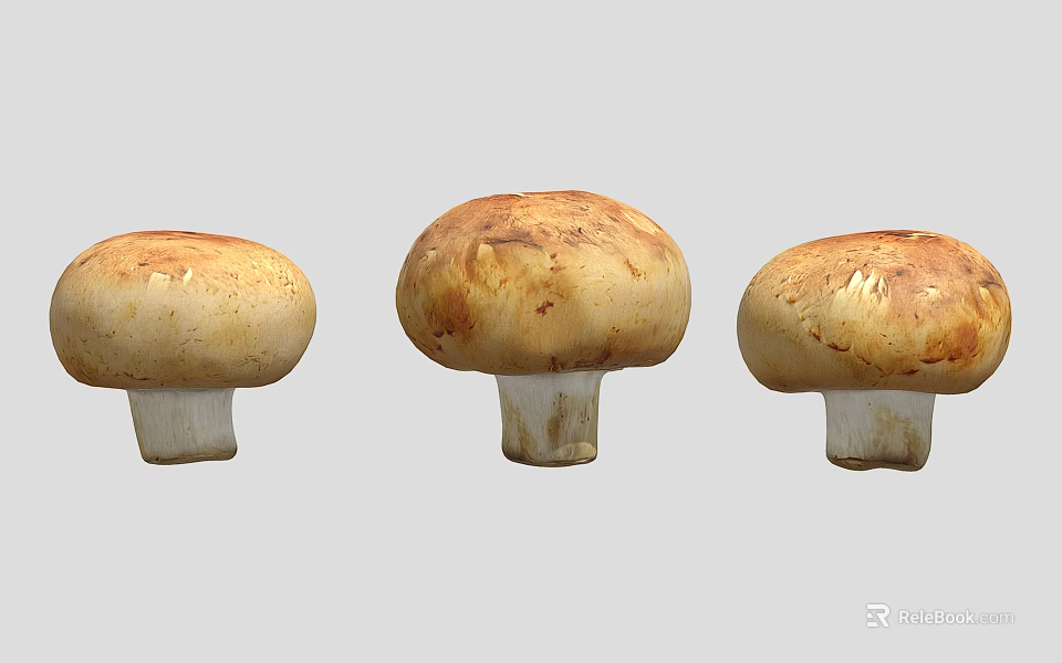 Three Fresh Brown Capped White Stemmed Mushrooms For Cooking Dishes 3d model 