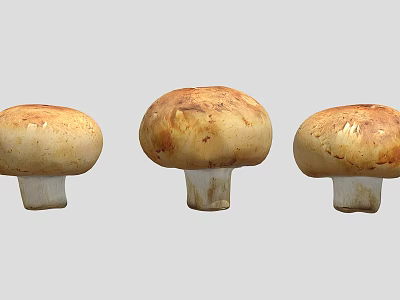 Three Fresh Brown Capped White Stemmed Mushrooms For Cooking Dishes 3d model