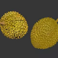 Two Fresh Durian Fruits With Spiky Yellow Exterior On Dark Reflective Surface