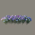 Purple and Blue Small Flowers with Green Stems and Leaves on Gray Background