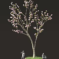 Blooming Pink Flowering Tree With Slender Branches Against Black Background 3d model
