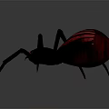 Black Spider With Red Pattern On Body And Red Eyes Against Gray Background