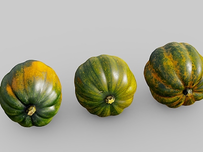 pumpkin old pumpkin vegetable zucchini 3d model