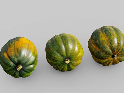 Three Fresh Green And Yellow Striped Squash Vegetable Arranged On Gray Background 3d model