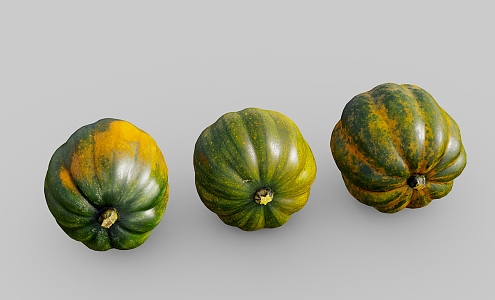 pumpkin old pumpkin vegetable zucchini 3d model