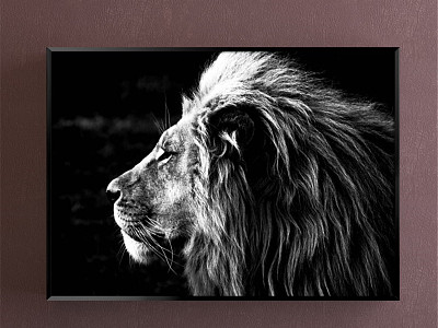 Modern Animal Painting Simple Black and White Study Animal Lion Decorative Painting model