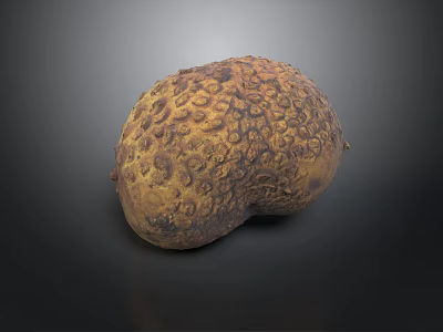 Bonsai Pot Plant With Nut Like Shape Textured Surface Brownish Yellow Color And Uneven Patterns 3d model