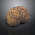 Bonsai Pot Plant With Nut Like Shape Textured Surface Brownish Yellow Color And Uneven Patterns