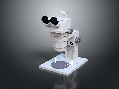 Binocular Biological Microscope With Stable Base For Lab And Educational Use 3d model
