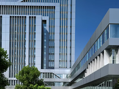 Modern High Rise Office Building With Glass Curtain Wall And Green Trees 3d model