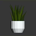 White Geometric Shaped Pot With Green Long Leaf Plant For Home Decor