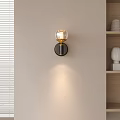 Modern Glass Globe Wall Lamp on Light Wall with Wooden Shelves and Blinds