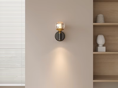 Modern Glass Globe Wall Lamp on Light Wall with Wooden Shelves and Blinds 3d model